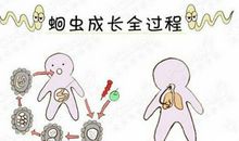 脑袋有虫漫画作文