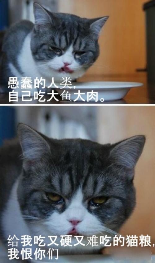 我恨你