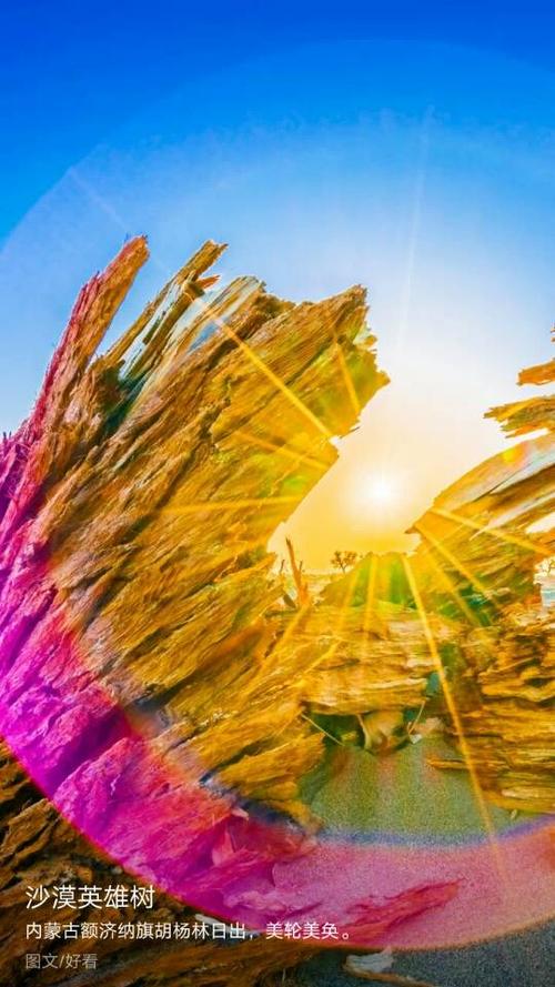 太阳仍然照耀着