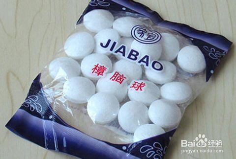 樟脑球和蚂蚁