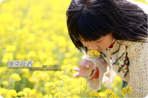 领略花朵的芬芳
