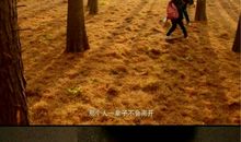 永远忘不了那句话