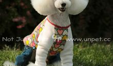 可爱的小狗圈圈