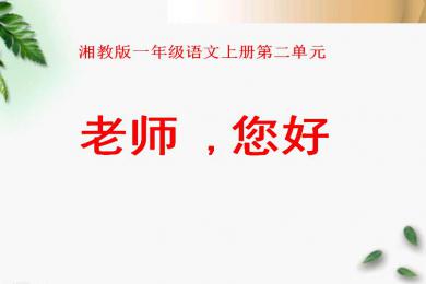 再说一次“你好老师”