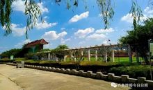 寻找校园的春天