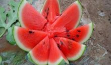 我品尝了笑的滋味