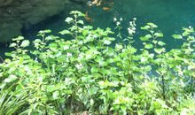 游桐庐仙境游记