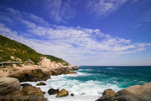我的海梦