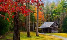 往秋天的深处走去