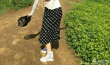 难忘的台湾之行