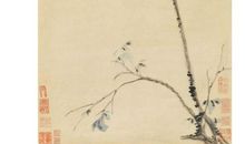 那一次，我栖上“高枝”