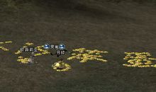 记忆中让我忘记不了的那个人