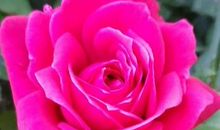 珍惜眼前的时光