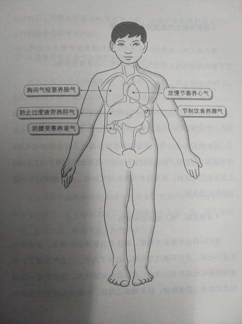 书偷小队