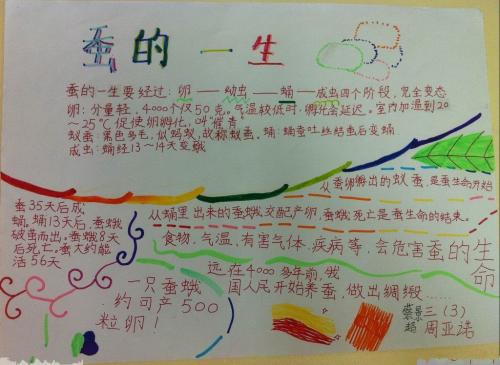 三年级小实验蚕组成