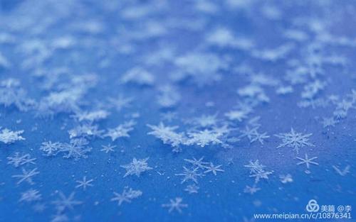 写雪篇文章