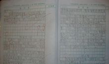 三年级我的同学作文