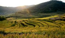 珍惜一切就算没有拥有