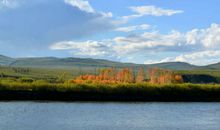 难忘那片茂密的红树林