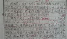 关于玩游戏的作文