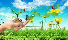 在梦想的路上，笑靥如花