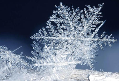 没有雪花的冬天