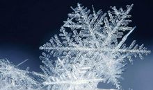 不见雪花的冬天