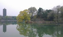 写北大未名湖作文