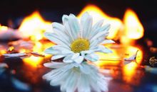 善良可以如此温暖