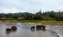 游雅拉国家公园