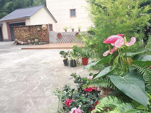秋天到院子里
