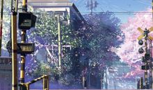 那份情让风也有了颜色