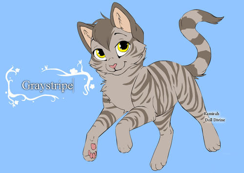 阅读《猫武士》后的感想