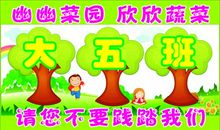 爱护小树，从我做起