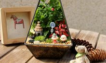 小花园里的礼物