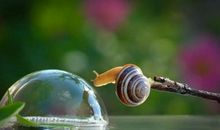 我们班的头号“蜗牛”