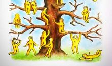 假如我是棵大树