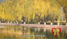 爱是一道靓丽的风景