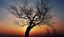 人生的指路明灯