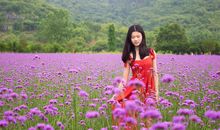 我和花海有个约