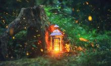 荧火虫，我想对你说