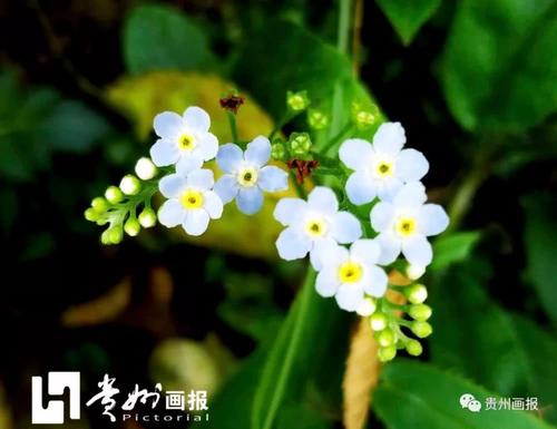生活中的镜头