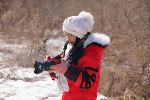 找雪