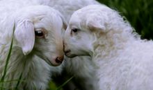 让我温暖的瞬间