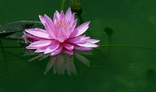 诞生在雨中的真情