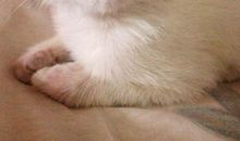 原来，我也很美丽