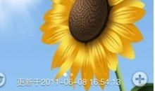 好花天气，幸得识君