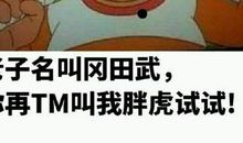 我最喜欢的伙伴