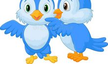 小鸟和消防栓的悄悄话