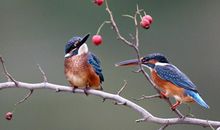 善忘是人生的一种佳境